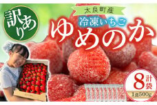 訳あり！太良町産「ゆめのか」冷凍いちご500ｇ×８袋 佐賀県 太良町 OC20