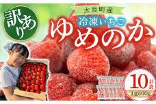 訳あり！太良町産「ゆめのか」冷凍いちご500ｇ×10袋 佐賀県 太良町 PB14