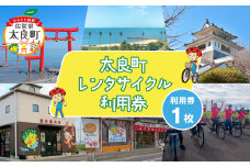 太良町レンタサイクル1日利用券 N260