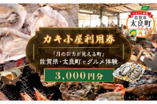 【カキ小屋利用券】「月の引力が見える町」佐賀県・太良町でグルメ体験(3,000円分) NA17