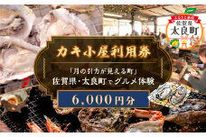 【カキ小屋利用券】「月の引力が見える町」佐賀県・太良町でグルメ体験(6,000円分) PB13