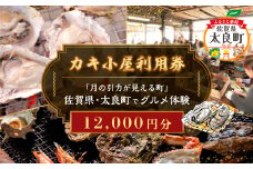 【カキ小屋利用券】「月の引力が見える町」佐賀県・太良町でグルメ体験(12,000円分) QN4