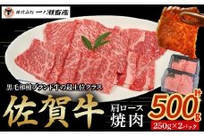 佐賀牛肩ロース焼肉 250g×2パック　牛肉 肉 牛 佐賀牛 ブランド牛 黒毛和牛 肩ロース 焼肉 焼き肉 BBQ バーベキュー 国産 国産牛 冷凍 佐賀県 太良町 OD5