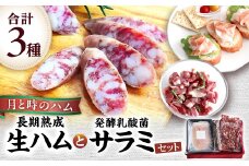 田島畜産の月と時のハム(長期熟成生ハム)と発酵乳酸菌サラミセット  長期熟成 生ハム ハム 塩漬け サラミ 豚肉 ミンチ モモ肉 骨付 冷凍便 佐賀県 太良町 NB38