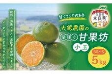  大鋸農園の早穫り甘果坊（小玉）５kg  みかん 蜜柑 太良みかん 温州みかん 果物 フルーツ 甘い 早穫り 柑橘 ノーワックス 果実 くだもの 柑橘類 佐賀県 太良町 LB10
