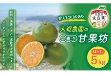 大鋸農園の早穫り甘果坊  ５kg  みかん 蜜柑 太良みかん 温州みかん 果物 フルーツ 甘い 早穫り 柑橘 ノーワックス 果実 くだもの 柑橘類 佐賀県 太良町 LB11