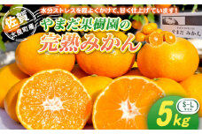 L-32 やまだ果樹園の完熟みかん　５ｋｇ　みかん ミカン 蜜柑 柑橘 たらみかん 太良みかん 温州みかん 完熟みかん 国産 佐賀県産 太良町 こだわり 産地直送 贈答品 詰め合わせ セット 小玉 大玉 甘熟 極甘
