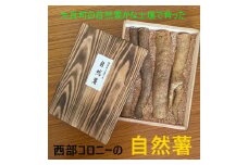 NB-11 太良町産 自然薯［カット］約1kg（4～5本） 木箱入り