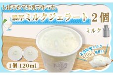 しぼりたて生乳で作った濃厚ミルクジェラート 2個セット  ジェラート シャーべット アイスクリーム アイス 生乳 ミルク ジェラート クリーミー デザート 氷菓子 スイーツ 濃厚 冷凍 佐賀県 太良町 LA6