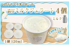 しぼりたて生乳で作った濃厚ミルクジェラート 4個セット  ジェラート シャーべット アイスクリーム アイス 生乳 ミルク ジェラート クリーミー デザート 氷菓子 スイーツ 濃厚 冷凍 佐賀県 太良町 M115