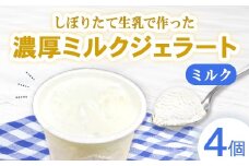 しぼりたて生乳で作った濃厚ミルクジェラート 4個セット  ジェラート シャーべット アイスクリーム アイス 生乳 ミルク ジェラート クリーミー デザート 氷菓子 スイーツ 濃厚 冷凍 佐賀県 太良町 M115