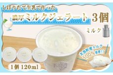 しぼりたて生乳で作った濃厚ミルクジェラート 3個セット  ジェラート シャーべット アイスクリーム アイス 生乳 ミルク ジェラート クリーミー デザート 氷菓子 スイーツ 濃厚 冷凍 佐賀県 太良町 LB23