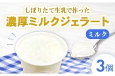 しぼりたて生乳で作った濃厚ミルクジェラート 3個セット  ジェラート シャーべット アイスクリーム アイス 生乳 ミルク ジェラート クリーミー デザート 氷菓子 スイーツ 濃厚 冷凍 佐賀県 太良町 LB23