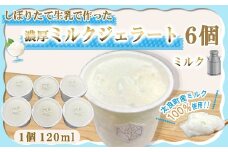 しぼりたて生乳で作った濃厚ミルクジェラート 6個セット  ジェラート シャーべット アイスクリーム アイス 生乳 ミルク ジェラート クリーミー デザート 氷菓子 スイーツ 濃厚 冷凍 佐賀県 太良町 NA23