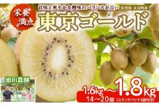 LB-13 栄養満点！東京ゴールド（キウイフルーツ） 14～20個 1.6kg～1.8kg スタンドパック 3袋付き キウイフルーツ キウイ フルーツ 東京ゴールド くだもの 果物 ミネラル豊富 太良町 国産 贈答用