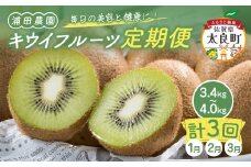 Q-44 体が喜ぶ☆キウイフルーツ定期便３回コース 定期便 ３回 ２０～３２個 ３.４kg～４kg ヘイワード ヘイワードキウイ キウイフルーツ キウイ フルーツ くだもの 果物 ミネラル豊富 太良町 国産 浦田農園