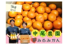 NA-10 中尾農園の夢みるみかん（S-L）５kg 温州みかん 早生 温州 みかん ミカン 蜜柑 温州蜜柑 温州ミカン フルーツ くだもの 果物 ミネラル豊富 太良町 国産 贈答用 月の引力が見える町 太良町 ふるさと納税 返礼品 みかん さがみかん 太良みかん 温州みかん マルチ栽培 夢見るみかん 産地直送 おいしい