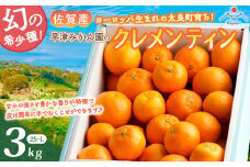 L-29 早津みかん園のクレメンティン ３ｋｇ クレメンティン ヨーロッパ生まれ 太良みかん みかん ミカン 蜜柑 フルーツ くだもの 果物 太良町 国産