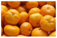 L-101　早津みかん園の完熟みかん ３kg みかん ミカン 蜜柑 たらみかん 太良みかん 温州みかん 完熟みかん 甘熟 柑橘 国産 佐賀県産 太良町 こだわり 有機栽培 産地直送 贈答品 詰め合わせ 極甘