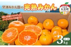 L-101　早津みかん園の完熟みかん ３kg みかん ミカン 蜜柑 たらみかん 太良みかん 温州みかん 完熟みかん 甘熟 柑橘 国産 佐賀県産 太良町 こだわり 有機栽培 産地直送 贈答品 詰め合わせ 極甘