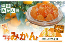 L-102　早津みかん園の完熟プチみかん 5kg　みかん ミカン 蜜柑 温州みかん 完熟みかん 甘熟 柑橘 有機栽培 国産 佐賀県産 太良町 こだわり 贈答品 産地直送 詰め合わせ 極甘 小玉