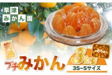 L-102　早津みかん園の完熟プチみかん 3kg　みかん ミカン 蜜柑 温州みかん 完熟みかん 甘熟 柑橘 有機栽培 国産 佐賀県産 太良町 こだわり 贈答品 産地直送 詰め合わせ 極甘 小玉