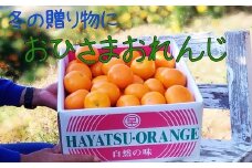 N-85 おひさまおれんじ５kg 希少 みかん ミカン 蜜柑 フルーツ くだもの 果物 ミネラル豊富 太良町 国産 人気 おすすめ ギフト贈り物 ギフト 濃厚 ジューシー 甘い