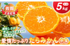 愛情たっぷりたらみかん（小玉）5kg　みかん ミカン 蜜柑 たらみかん 太良みかん 温州みかん 完熟みかん 甘熟 柑橘 国産 佐賀県産 太良町 こだわり 有機栽培 産地直送 贈答品 詰め合わせ 極甘 小玉 L126