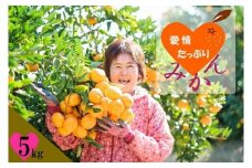 L‐127 愛情たっぷりたらみかん 5kg 温州 みかん ミカン 蜜柑 温州蜜柑 温州ミカン フルーツ くだもの 果物 ミネラル豊富 太良町 国産 贈答用 お中元 お歳暮