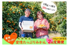 P-90 愛情たっぷりみかん　２回定期便　みかん ミカン 蜜柑 柑橘 たらみかん 太良みかん 温州みかん 完熟みかん 国産 佐賀県産 太良町 こだわり 産地直送 贈答品 詰め合わせ セット 定期便 甘熟 極甘