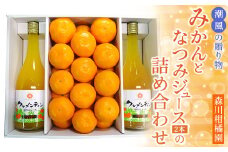 N-89 潮風の贈り物～みかんとなつみジュース（2本）の詰め合わせ～ みかん 24玉 なつみジュース 720ml 潮風みかん  森川柑橘園 太良町 太良みかん 温州みかん こだわりの栽培方法 なつみ 100％ジュース みかんジュース ミカンジュース 蜜柑ジュース 詰め合わせ セット品 みかん ミカン 蜜柑 フルーツ くだもの 果物 ミネラル豊富 太良町 国産 贈答用