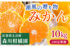 潮風の贈り物（みかん）10㎏【２回定期便】　みかん ミカン 蜜柑 たらみかん 太良みかん 温州みかん 完熟みかん 甘熟 柑橘 国産 佐賀県産 太良町 こだわり 有機栽培 産地直送 贈答品 詰め合わせ 極甘 定期便 P82 