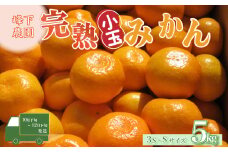 峰下農園の完熟みかん（小玉）５kg フルーツ 果物 くだもの 柑橘 みかん ミカン 蜜柑 柑橘 たらみかん 太良みかん 温州みかん 完熟みかん 国産 佐賀県産 こだわり 産地直送 贈答品 詰め合わせ セット 小玉 甘熟 極甘 佐賀県 太良町 L124