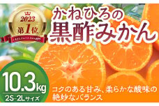 かねひろの黒酢みかん 【2023年 第1位ふるさとチョイス みかん 部門】10.3kg 2S～2L 新鮮 黒酢 アミノ酸 みかん 蜜柑 ミカン 温州みかん 10kg 甘い 柑橘 果実 フルーツ オレンジ 人気 おすすめ 贈答 ギフト 正月 実家 産地 九州 佐賀県 太良町 N77 