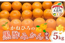 L-39 かねひろの黒酢みかん（小玉）