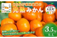 まちなが家族農園の完熟みかん 3.5kg みかん ミカン 蜜柑 たらみかん 太良みかん 温州みかん 完熟みかん 甘熟 柑橘 国産 佐賀県産 太良町 こだわり 有機栽培 産地直送 贈答品 詰め合わせ 極甘 M118