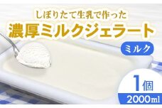 しぼりたて生乳で作った濃厚ミルクジェラート（2000ml）  ジェラート シャーべット アイスクリーム アイス 生乳 ミルク ジェラート 大容量 クリーミー デザート 氷菓子 スイーツ 濃厚 冷凍 パーティー 佐賀県 太良町 NB49