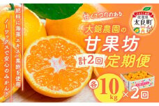 P-81 大鋸農園の甘果坊 １０ｋｇ【２回定期便】 みかん蜜柑太良みかん温州みかん果物フルーツ甘い柑橘ノーワックス果実くだもの柑橘類佐賀県太良町P81［P81］
