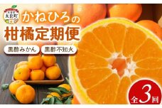 かねひろの柑橘定期便 3回コース みかん 蜜柑 ミカン 柑橘 黒酢みかん 黒酢不知火 果実 フルーツ 果物 くだもの 柑橘類 定期便 佐賀県 太良町 QF2