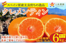 NC-9 山本農園のクレメンティン ６kg ３kg×２箱 クレメンティン 希少 ヨーロッパ生まれ スペイン原産 太良みかん みかん ミカン 蜜柑 フルーツ くだもの 果物 太良町 国産 甘い 美味しい 佐賀県 太良町