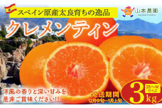 山本農園のクレメンティン ３kg クレメンティン みかん 柑橘 国産 オレンジ マンダリン 希少 ジューシー くだもの 果物 フルーツ 新鮮 贈り物 ギフト 佐賀県 太良町 L41