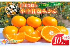 N-29 山本農園の甘熟みかん 10kg　みかん ミカン 蜜柑 温州みかん 完熟みかん 甘熟 国産 佐賀県産 太良町 こだわり プレミアム 贈答品 産地直送 有機栽培 詰め合わせ