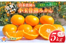 L-12 山本農園の小玉甘熟みかん 5kg　みかん ミカン 蜜柑 日南 上野 太幸 佐世保早生 石地 温州みかん 完熟みかん 甘熟みかん 国産 佐賀県産 太良町 こだわり 産地直送 詰め合わせ 小玉 有機肥料 期間限定