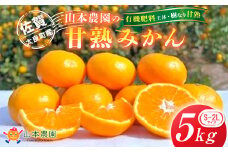 L-13 山本農園の甘熟みかん5kg　みかん ミカン 蜜柑 温州みかん 完熟みかん 甘熟 柑橘 有機栽培 国産 佐賀県産 太良町 こだわり 贈答品 産地直送 詰め合わせ