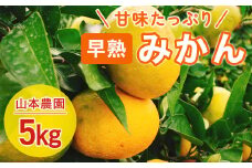 L-70 山本農園の早熟みかん ５kg　みかん ミカン 蜜柑 たらみかん 太良みかん 温州みかん 紅みかん 完熟みかん 甘熟 柑橘 国産 佐賀県産 太良町 こだわり 有機栽培 産地直送 贈答品 詰め合わせ 極甘 小玉