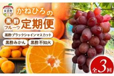 かねひろの黒酢フルーツ定期便 3回コース みかん 果物 旬 柑橘 甘い 新鮮 定期便 フルーツ 果物旬 黒酢みかん シャインマスカット 不知火 黒酢フルーツ 佐賀県 太良町 QN5
