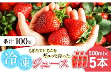 杉本農園のもぎたていちごをギュッと搾った100%冷凍ジュース 500ml×5本 ジュース ストレートジュース 100%ジュース フルーツジュース 飲料 果汁 いちご イチゴ 苺 フルーツ 佐賀県 太良町 PC6