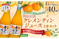 山本農園のクレメンティンジュース2本セット 太良みかん ヨーロッパ生まれ スペイン原産 クレメンティン ジュース 720ml 2本 みかんジュース ミカンジュース 蜜柑ジュース ジュース 温州 みかん ミカン フルーツ くだもの 果物 ミネラル豊富 太良町 国産 贈答用 NC28 