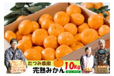N-151 辰見農園の完熟みかん　１０ｋｇ