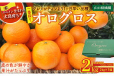 一番採りクレメンティン！新品種「オログロス」2kg みかん 蜜柑 ミカン おれんじ オレンジ フルーツ 果物 くだもの ジューシー 柑橘 マンダリン クレメンティン オログロス 国産 希少 ジューシー 薄皮プレゼント 贈り物 ギフト 佐賀県 太良町 L131